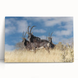 Antelope-themed wall art showcasing a vibrant, colorful design on stretched canvas, perfect for adding a touch of wildlife decor to any space.