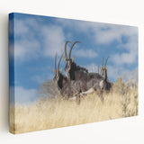 Stretched canvas wall art featuring a side view of an antelope in a vibrant natural setting, showcasing intricate details and bold colors, perfect for wildlife enthusiasts.