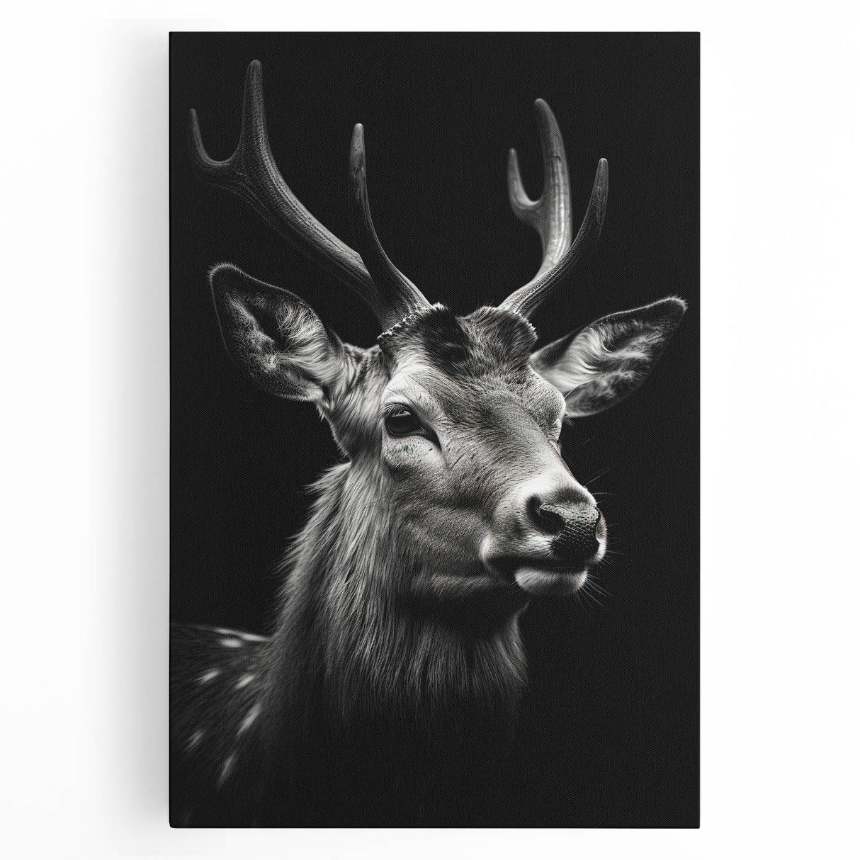 Stretched canvas wall art featuring a vibrant antelope design, showcasing intricate details and rich colors, perfect for animal lovers and home decor enthusiasts.