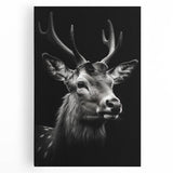 Stretched canvas wall art featuring a vibrant antelope design, showcasing intricate details and rich colors, perfect for animal lovers and home decor enthusiasts.