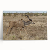 Antelope-themed wall art on stretched canvas, showcasing vibrant colors and intricate designs, ideal for nature lovers and home decor enthusiasts. Perfect for adding a touch of wildlife elegance to any space.