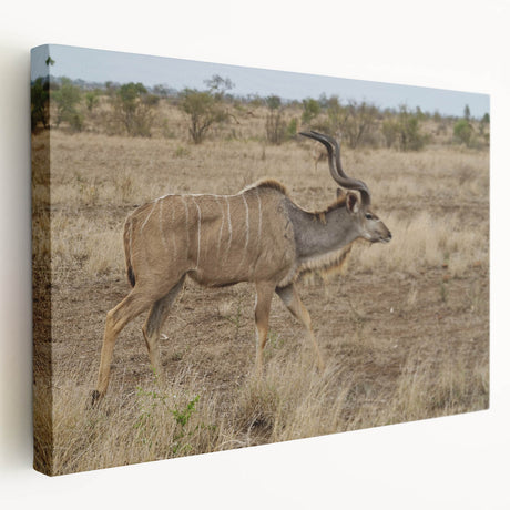 Side view of a stretched canvas featuring an elegant antelope design, showcasing intricate details and vibrant colors, perfect for nature-inspired home decor.