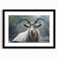Antelope-themed wall art print showcasing a detailed illustration of African wildlife in a sleek black frame, ideal for nature enthusiasts and home decor.