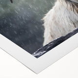 Rolled canvas art print showcasing a vibrant antelope design, featuring earthy tones and intricate details, ideal for wildlife enthusiasts and nature-inspired decor.