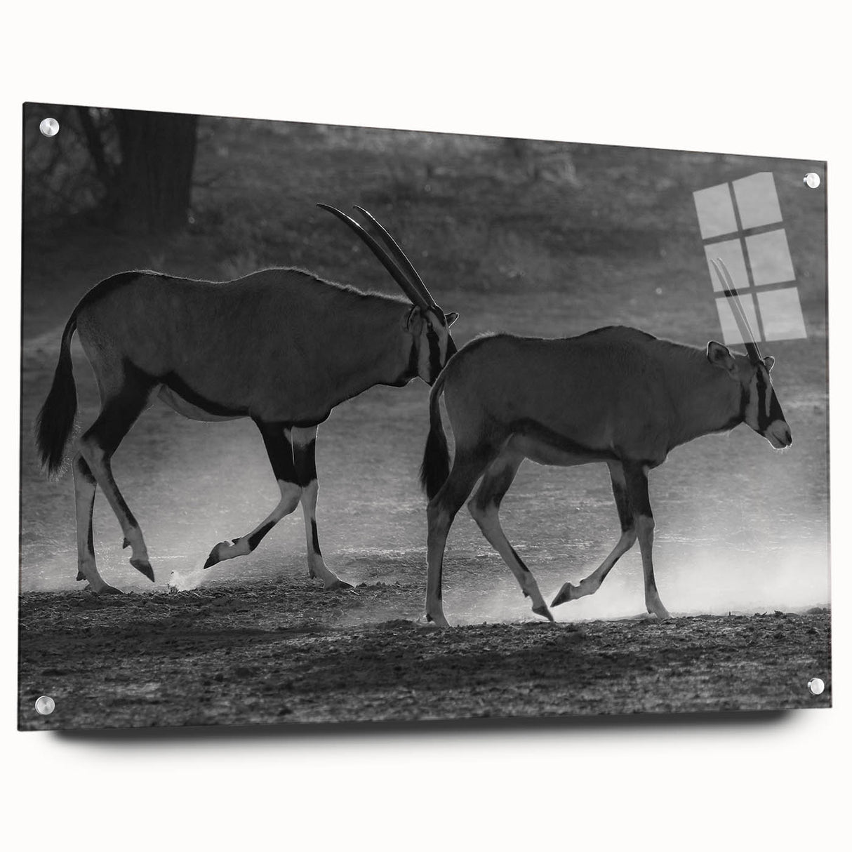 Side view of a vibrant acrylic wall art piece featuring an antelope design, showcasing intricate details and colors, ideal for wildlife enthusiasts and home decor.