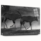 Side view of a vibrant acrylic wall art piece featuring an antelope design, showcasing intricate details and colors, ideal for wildlife enthusiasts and home decor.