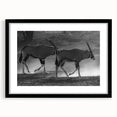 Framed wall art showcasing a striking antelope design in a sleek black frame with a mat, perfect for adding a touch of wildlife elegance to any decor.