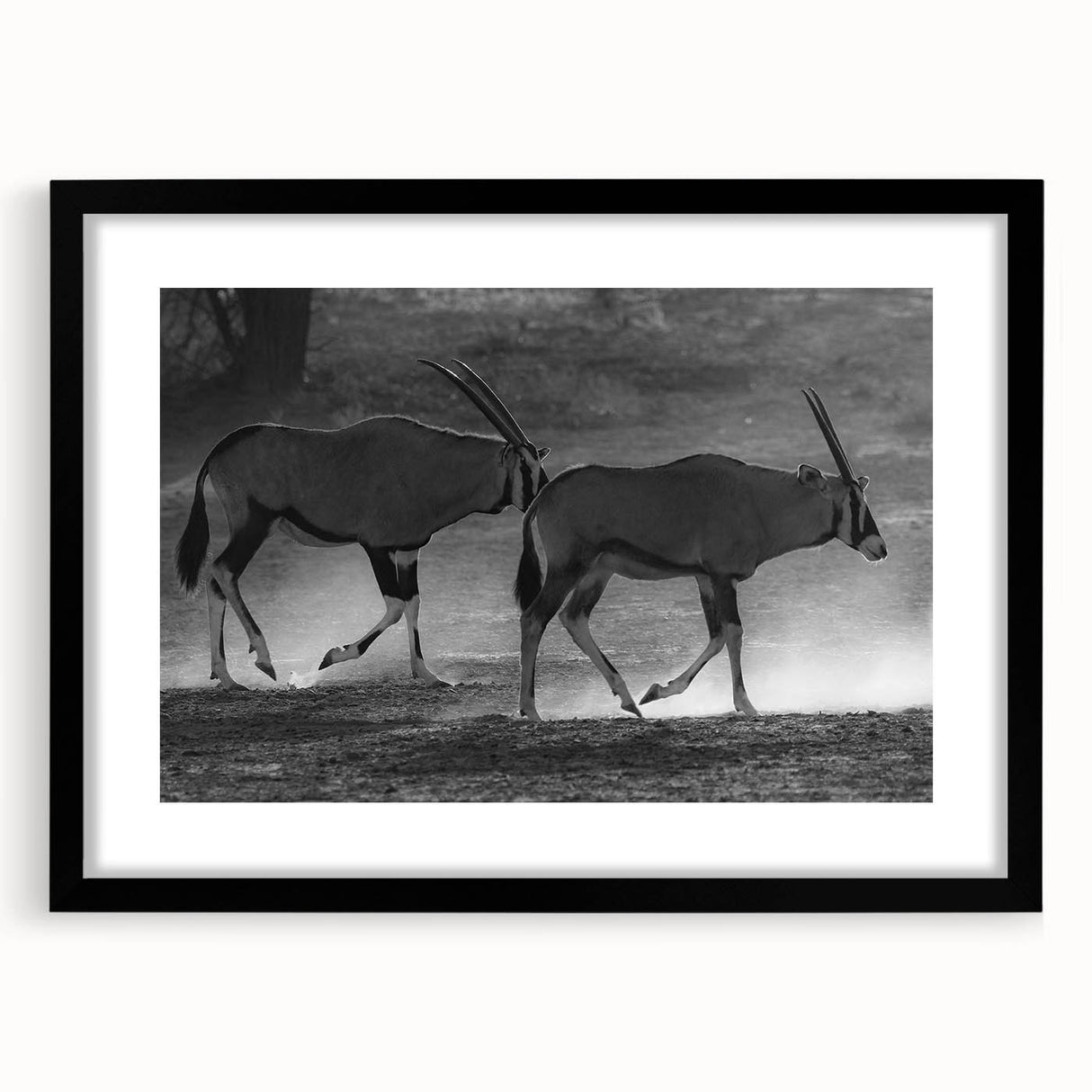 Framed wall art showcasing a striking antelope design in a sleek black frame with a mat, perfect for adding a touch of wildlife elegance to any decor.