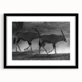 Framed wall art showcasing a striking antelope design in a sleek black frame with a mat, perfect for adding a touch of wildlife elegance to any decor.