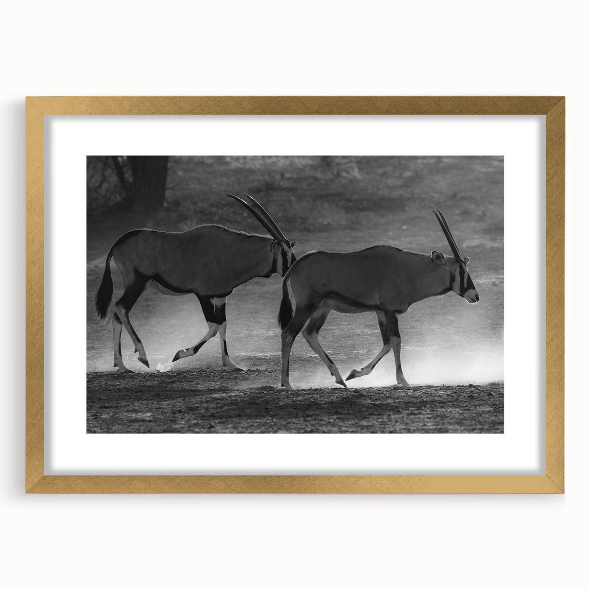 Stylish wall art featuring an elegant antelope design in gold frame with mat, perfect for adding a touch of wildlife decor to modern interiors.
