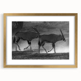 Stylish wall art featuring an elegant antelope design in gold frame with mat, perfect for adding a touch of wildlife decor to modern interiors.