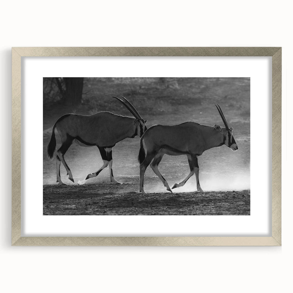 Framed wall art showcasing a striking antelope design in silver matting, perfect for wildlife enthusiasts. This elegant piece adds a touch of nature-inspired decor to any room.