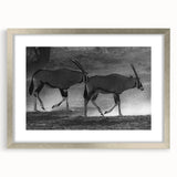 Framed wall art showcasing a striking antelope design in silver matting, perfect for wildlife enthusiasts. This elegant piece adds a touch of nature-inspired decor to any room.