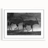 Antelope wall art collection showcasing a striking design of a majestic antelope in natural colors, framed with a white mat, ideal for enhancing any interior decor.
