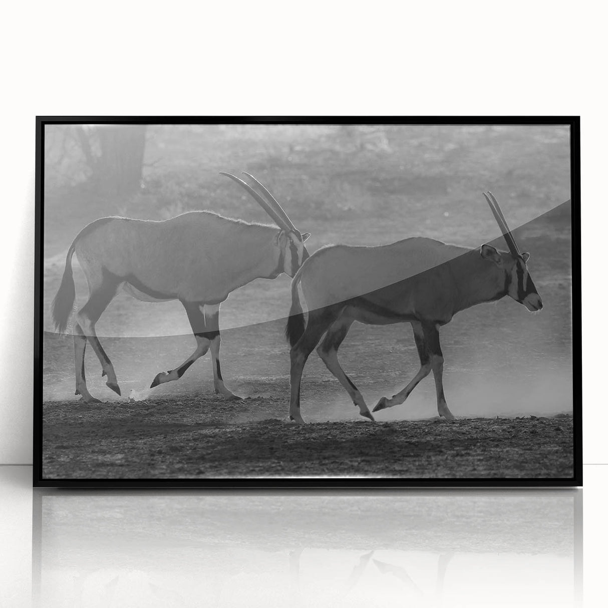 Framed black wall art showcasing an elegant antelope design, featuring vibrant colors and intricate details, perfect for enhancing modern decor in living spaces.