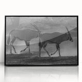 Framed black wall art showcasing an elegant antelope design, featuring vibrant colors and intricate details, perfect for enhancing modern decor in living spaces.