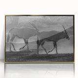 Framed wall art featuring a stunning antelope design against a gold background, showcasing intricate details and vibrant colors, perfect for wildlife enthusiasts.