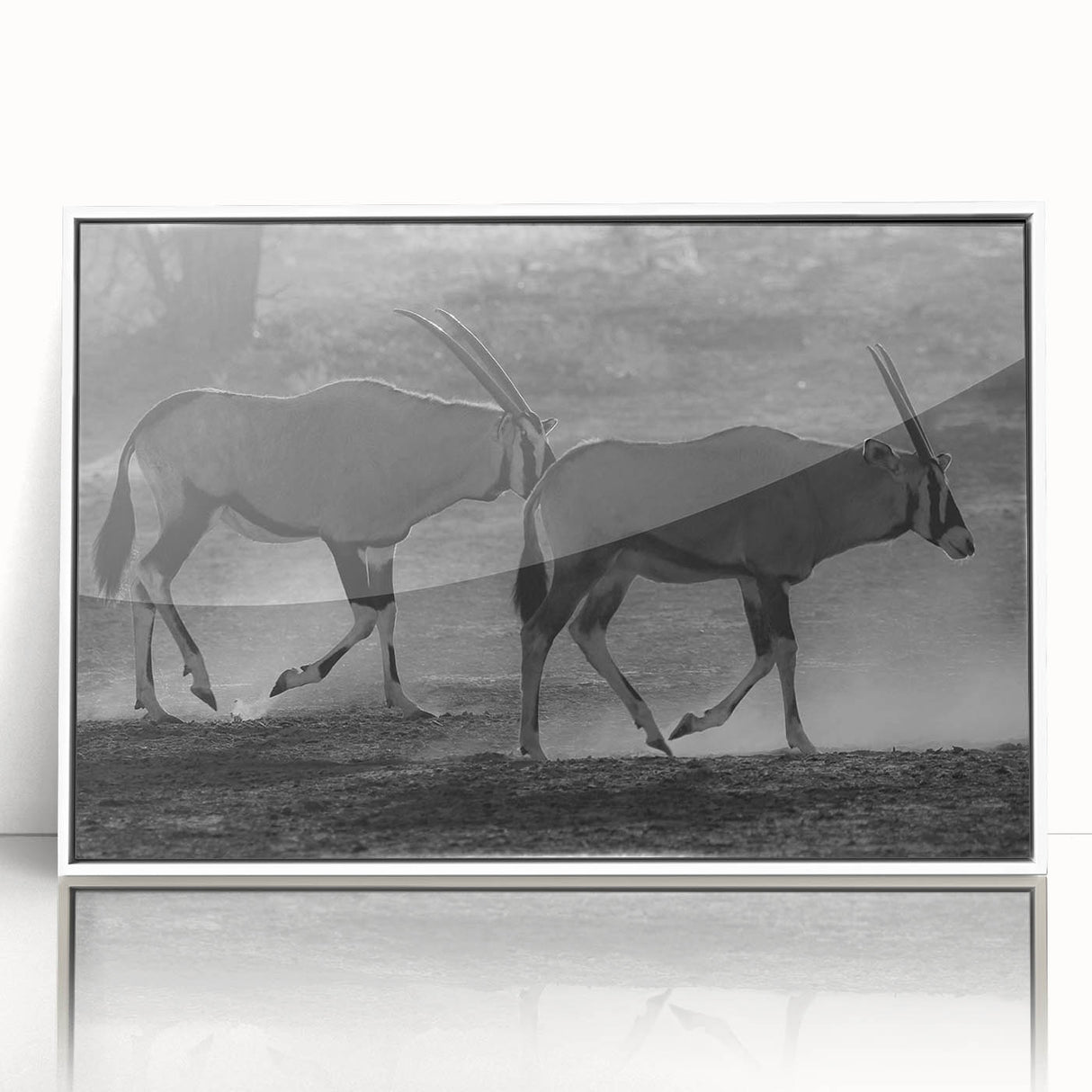 Framed acrylic wall art featuring a striking antelope design, showcasing vibrant colors and intricate details, perfect for enhancing modern home decor.