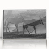 Framed acrylic wall art featuring a striking antelope design, showcasing vibrant colors and intricate details, perfect for enhancing modern home decor.