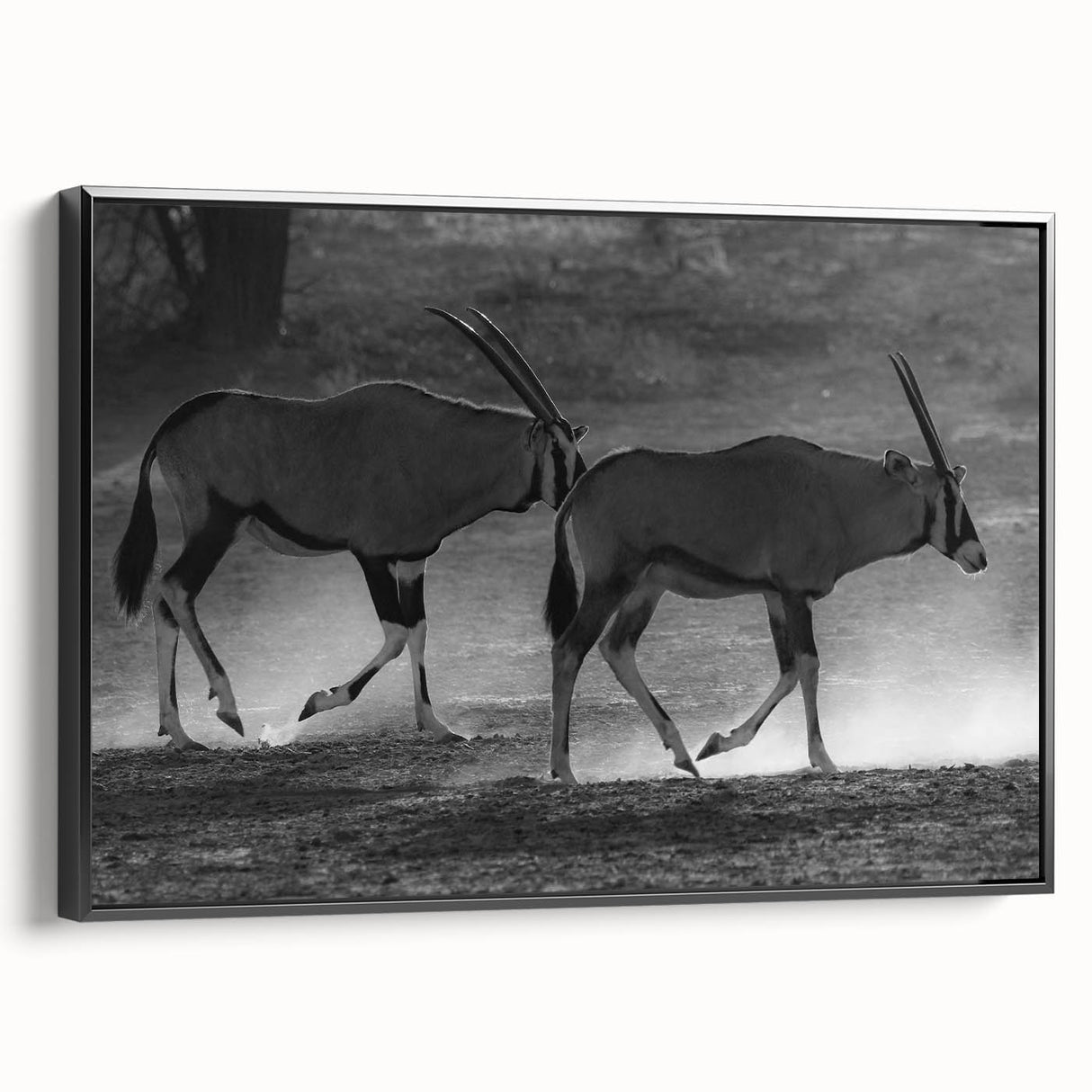 Framed canvas wall art featuring a stylish black antelope design, showcasing intricate details and a modern aesthetic, perfect for wildlife enthusiasts and home decor.