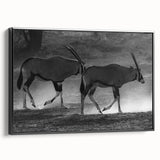 Framed canvas wall art featuring a stylish black antelope design, showcasing intricate details and a modern aesthetic, perfect for wildlife enthusiasts and home decor.
