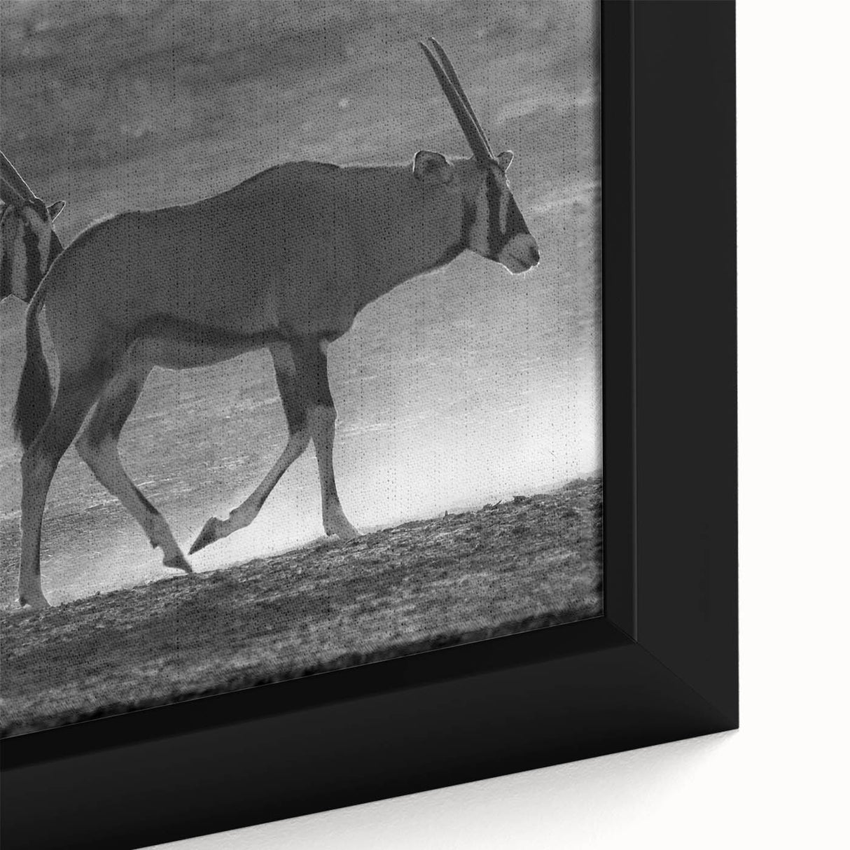Close-up of a framed canvas wall art featuring a vibrant antelope design with intricate details and rich colors, perfect for wildlife enthusiasts’ decor.