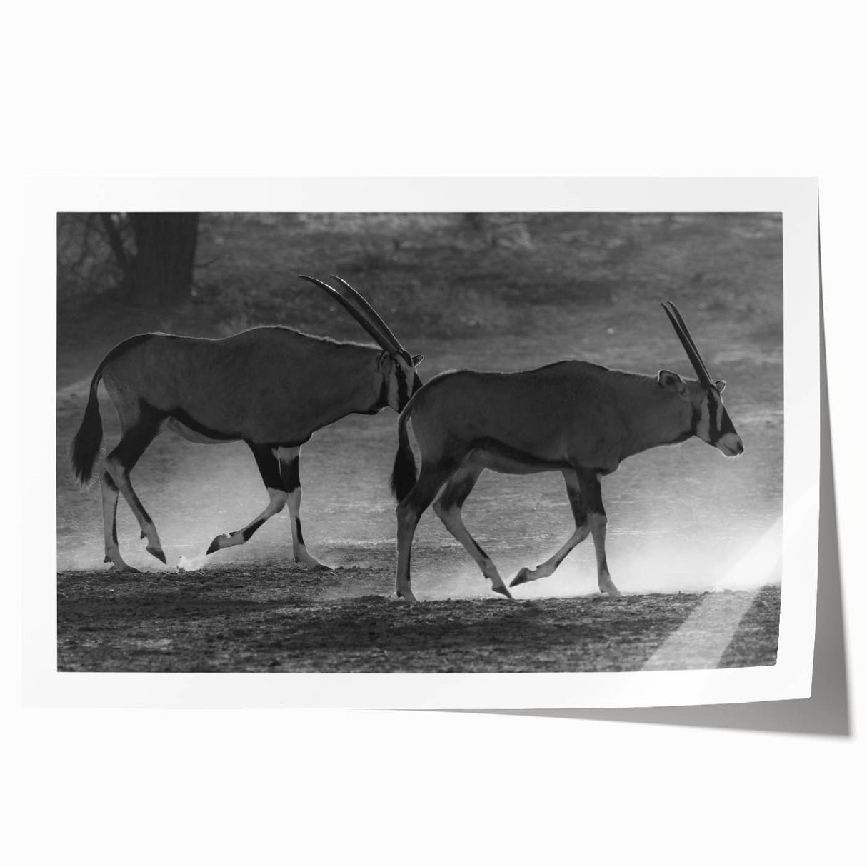 Antelope-themed wall art design showcasing a vibrant depiction of wildlife, rolled for easy display and shipping, perfect for nature-inspired decor enthusiasts.