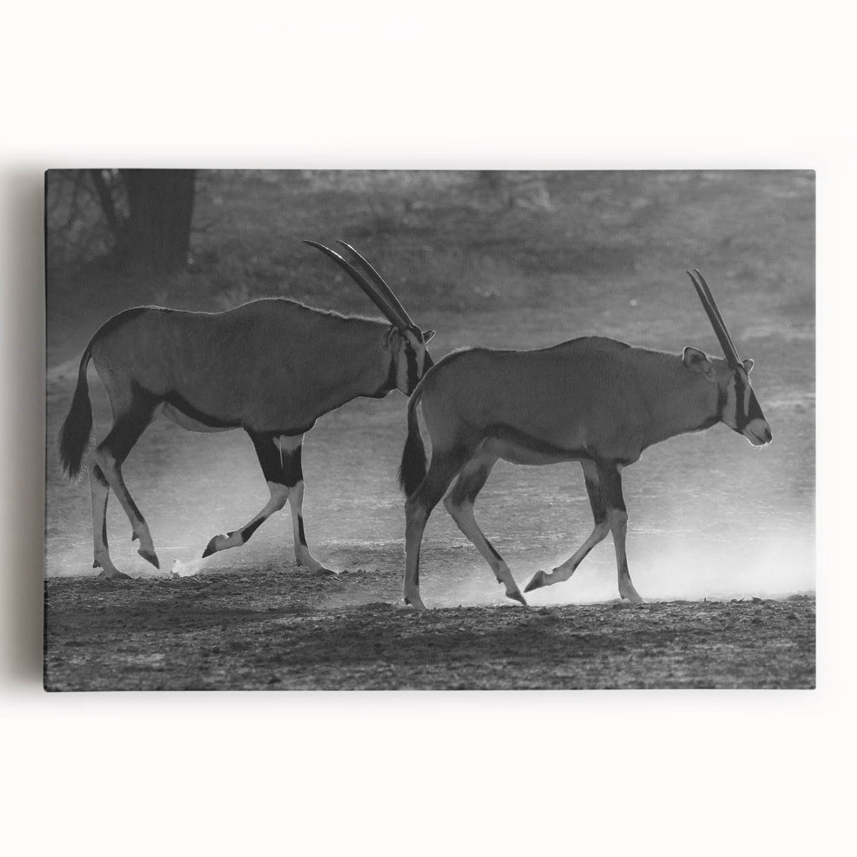 Vibrant stretched canvas wall art depicting an antelope in a natural setting, showcasing intricate details and rich colors, perfect for wildlife enthusiasts' decor.