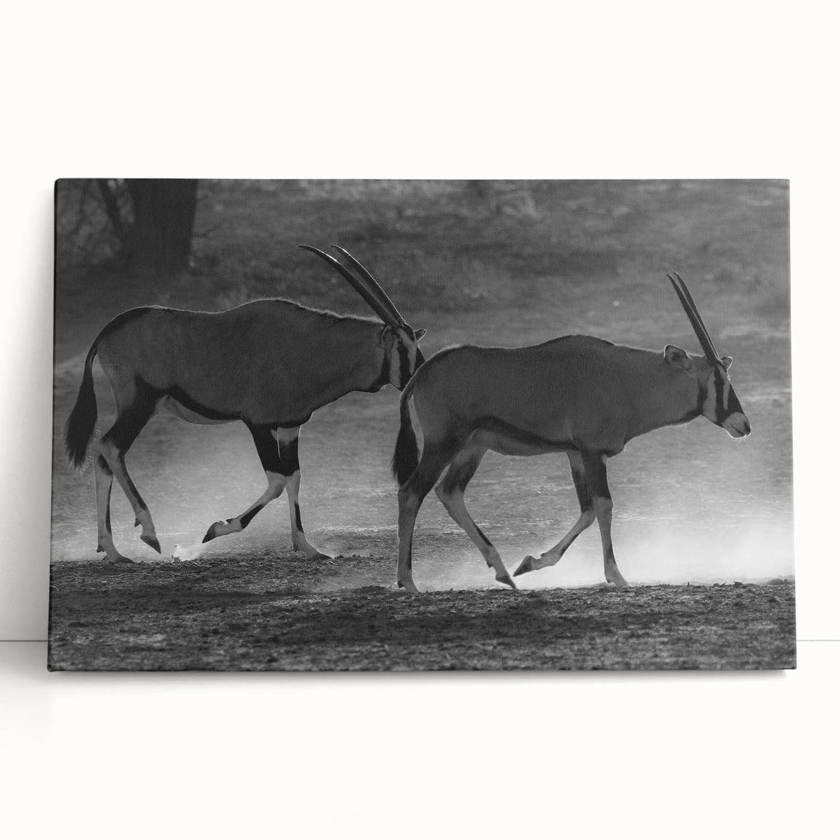 Stretched canvas art featuring a vibrant antelope design, showcasing intricate details and colors, perfect for adding a wild life theme to any decor.