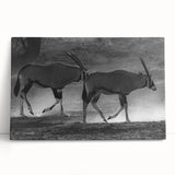 Stretched canvas art featuring a vibrant antelope design, showcasing intricate details and colors, perfect for adding a wild life theme to any decor.