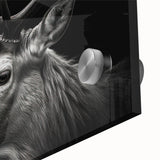 Close-up view of a vibrant acrylic wall art piece showcasing an antelope design, featuring intricate details and rich colors, perfect for wildlife enthusiasts.