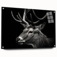 Antelope wall art design on acrylic glass showcases a vibrant, colorful depiction of wildlife, featuring intricate details and textures, ideal for nature enthusiasts.