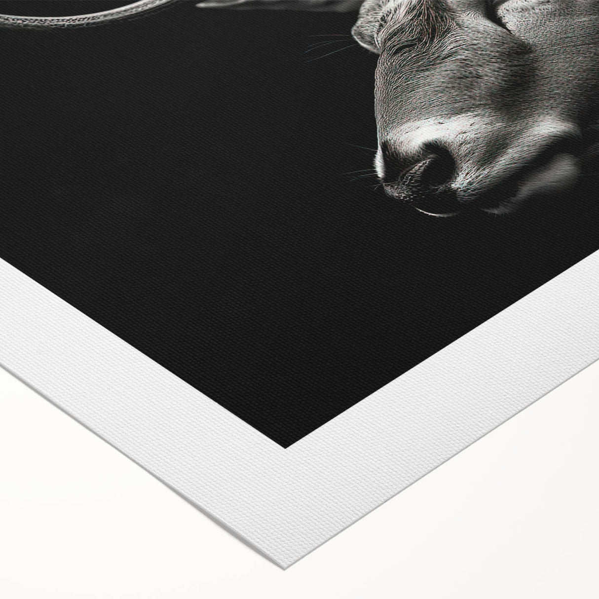 Rolled canvas art showcasing a vibrant antelope design, capturing the essence of wildlife with intricate details and rich colors, perfect for nature enthusiasts.