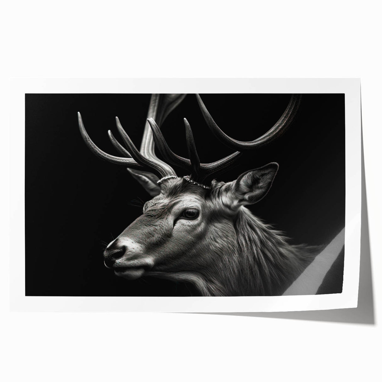 Antelope wall art design featuring vibrant colors and intricate patterns, showcasing a wildlife theme perfect for home decor. Rolled print packaged securely for shipping.
