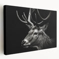 Stretched canvas wall art showcasing a side view of an antelope in a vibrant natural setting, perfect for wildlife enthusiasts and home decor lovers.