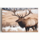 Stretched canvas wall art featuring a vibrant antelope design in a wild landscape, perfect for adding a touch of nature-inspired decor to any room.