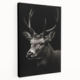 Stretched canvas wall art showcasing a side view of an elegant antelope design, featuring vibrant colors and intricate details, ideal for animal lovers and home decor enthusiasts.