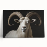 Antelope wall art collection on stretched canvas, showcasing vibrant African wildlife designs with earthy tones and intricate details, perfect for home decor.