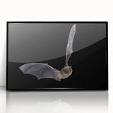 Framed wall art featuring a striking bat design from the "Animals: A Wild Life" collection, showcasing intricate details in black acrylic, ideal for modern decor.