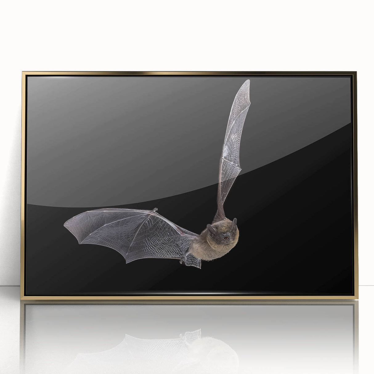 Framed acrylic wall art showcasing a detailed bat design with gold accents, perfect for wildlife enthusiasts and modern decor lovers, enhancing any interior space.