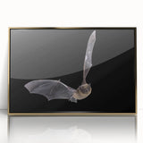 Framed acrylic wall art showcasing a detailed bat design with gold accents, perfect for wildlife enthusiasts and modern decor lovers, enhancing any interior space.