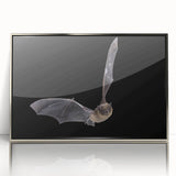 Framed acrylic wall art featuring a striking bat design in silver tones, showcasing intricate details and a contemporary aesthetic suitable for wildlife enthusiasts.