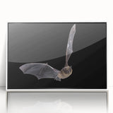 Framed wall art featuring a bat design from the 'Animals A Wild Life' collection, showcasing intricate details in a white frame, perfect for nature-themed decor.