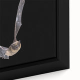 Close-up of a framed canvas wall art piece featuring a detailed bat design, showcasing intricate patterns and earthy colors, perfect for wildlife enthusiasts.