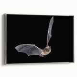 Framed wall art showcasing a bat design from the "A Wild Life" collection, featuring intricate details and a silver frame, ideal for animal lovers and home decor enthusiasts.