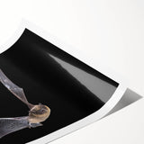 Stylish wall art print showcasing a detailed bat design in vibrant colors, perfect for wildlife-themed decor. This rolled print is ideal for animal lovers and adds artistic flair to any space.