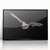 Framed wall art featuring a striking black bat design, showcasing intricate details and vibrant colors, perfect for wildlife enthusiasts and modern decor.