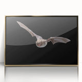 Framed acrylic wall art featuring a striking bat design in gold accents, showcasing a wildlife theme ideal for modern decor, with a sleek front view presentation.
