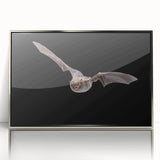 Framed wall art showcasing a unique bat design, featuring intricate details and a silver acrylic frame, perfect for adding a modern touch to any decor.