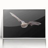 Framed wall art featuring a stylish bat design from the "Animals A Wild Life" collection, displayed in a white frame with an acrylic front, perfect for modern decor.